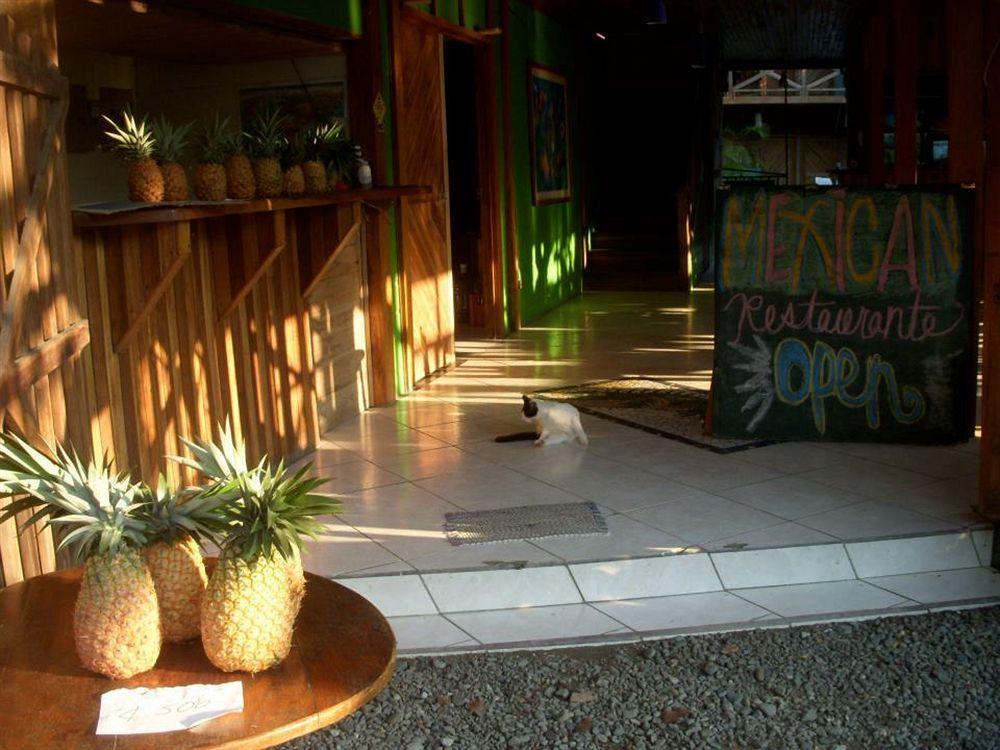 Puerto Viejo de Talamanca Lizard King Hotel & Suites מראה חיצוני תמונה