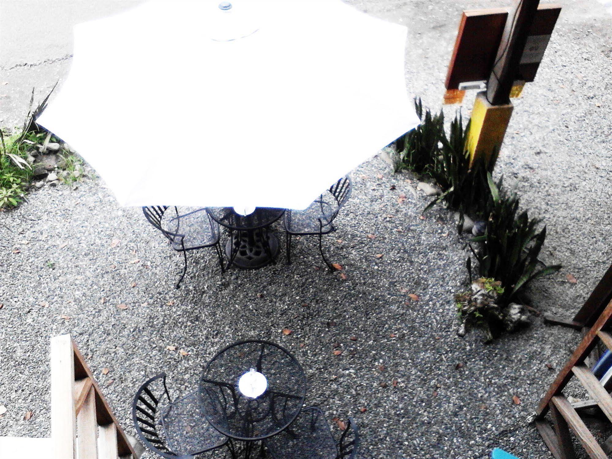 Puerto Viejo de Talamanca Lizard King Hotel & Suites מראה חיצוני תמונה